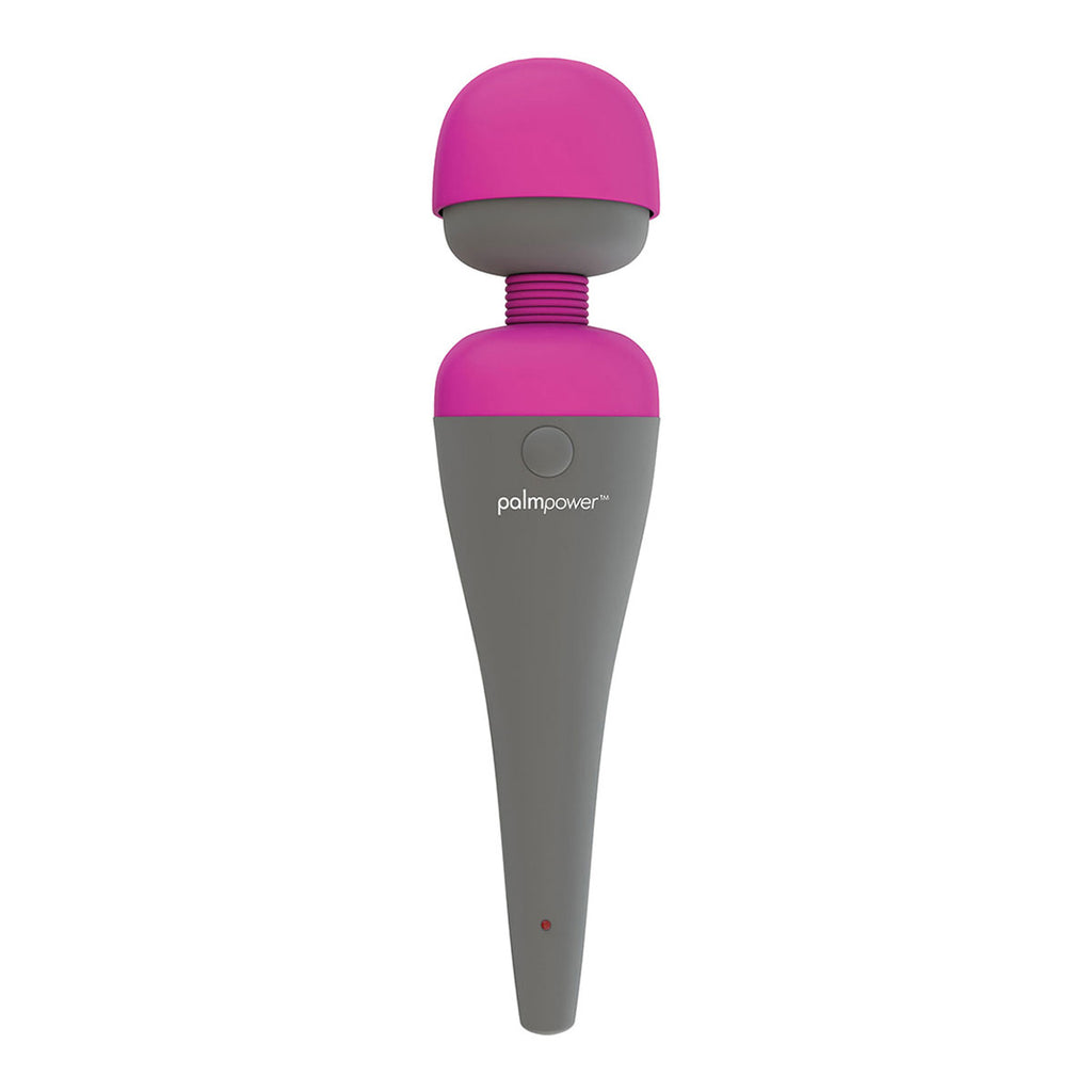 PalmPower Corded Massager